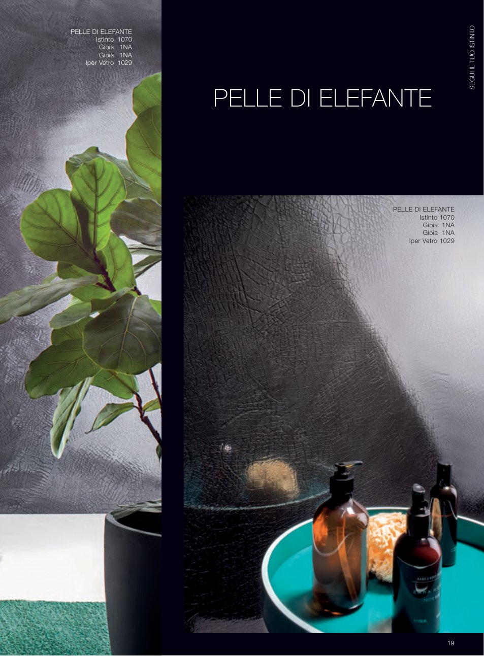 Pelle di Elefante — Giorgio Graesan (pag. 18)