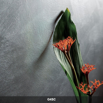 Gioia G4SC